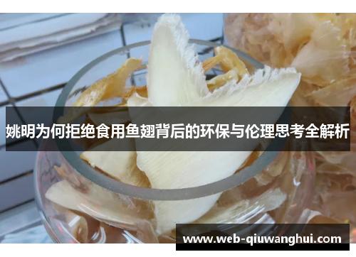 姚明为何拒绝食用鱼翅背后的环保与伦理思考全解析